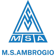 msa